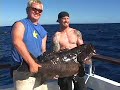 baja tuna cowtown: alijos   ridge nightbite!