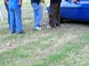 Expo Locos 2008 Ituzaingo