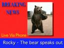 Rocky The Bear