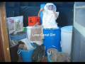 Building The House Of Nightmares 2008 Terror Technologies Extreme Haunted House home attraction halloween