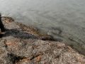 樺太へと続く宗谷海峡