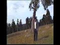 Erzurum Şenkaya Gülveren Yaylası