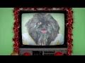 Dog Judo Judo I'm Crying This Christmas Official Music Video and Lyrics