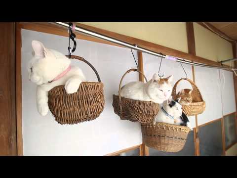 つりかご