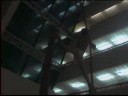 Crown Paradise - Aerial Silks in the lobby