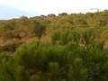 videos de Harden's & Quelch Adventure: Lost in Spain! -MUST SEE-