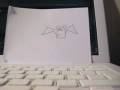 Pipistrello 001.1
