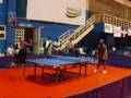 videos de ping pong dominicano