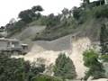 Crimen ecologico