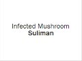 Infected Mushroom - Suliman Infected Mushroom - Suliman