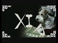 Xip01de3, menudet (Homenatge al meu gos)