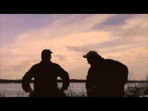 how to harvest timber