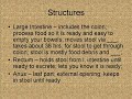 The Digestive System Structure and Function
