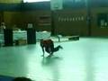 Breakdance in Lohmar