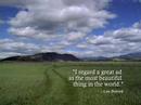 A Beautif...