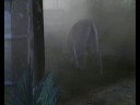 Un Negro in Camicia - Episodio 2 - Incubi Un Negro in Camicia - Episodio 2 - Incubi