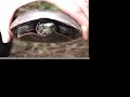 Painted Turtles