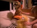slingy bird vs chetah