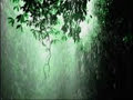 Quiero tu voz - Horacio Guarany