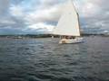videos de catboat2.wmv