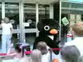 Pingu in Glenrothes