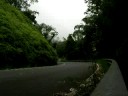 Puerto Rico - El Yunque (paradise-puertorico.com)