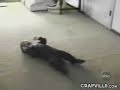 اصغر نصاب