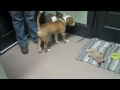 ESTER MEETS LAYLA
