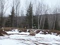 premi�re ride de l'ann�e dans la piste de riviere-rouge