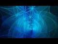 videos de 3d flower of life roger anthony essig