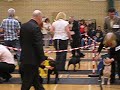 THE FINAL LINE UP WITH ALL DOG FINALISTS