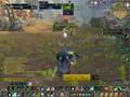 Chimp Balance Druid - Instagib