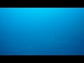 2009 最後の聖戦