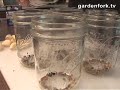 How to Make Bread and Butter Pickles