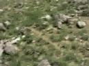 kyrgystan - joke has given up on a big climb