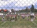 Jugend-LandesSieger 2008 Winden-Windegg Jugend-LandesSieger 2008 Winden-Windegg