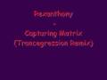 Rexanthony - Capturing Matrix (Hystorical Version)