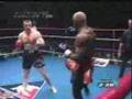 K1 - Mirco Cro Cop vs Michael McDonald