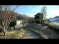 Glidecam 4000Pro Custom Sled +X10 test with PMW-350