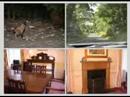 St Andrews Country Cottages