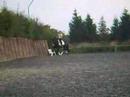 Toggi Schooling Toggi Schooling