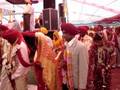 videos de mass marriage at Badowal ludhiana