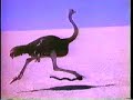 its-my-life-talk-talk-12-video-remix-monjott.html