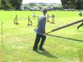 Tia Agility and Obedience 2007 Compilation