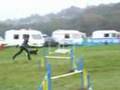 Tia Agility and Obedience 2007 Compilation