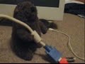 Re: How to Power a TV using a AAA battery