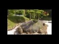 Buddha Maitreya Amazing Japanese Garden 弥勒仏アメージング日本庭園