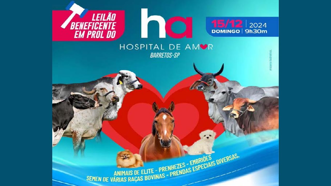Leilão Beneficente Em Prol Do Hospital Do Amor - Barretos/Sp