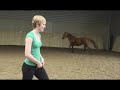 One of my best mates horse Oscar loose jumping today. Ive never seen him jump so well! Jumped up to around 1.50m I guess, he still gave it inches to spare! Taking Boo XC on sunday Ally (AllyEquestrian) so videos of that to come I should say, cant wait!! www.youtube.com (Oscars owner - the person doing the spacky jump in the middle :P)