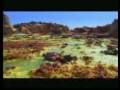 videos de Ethiopian Instrumental Music